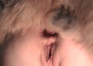 Hardcore sex with a nice doggy in the bedroom